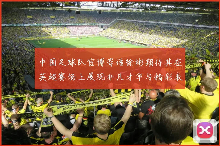 中国足球队官博寄语徐彬期待其在英超赛场上展现非凡才华与精彩表现