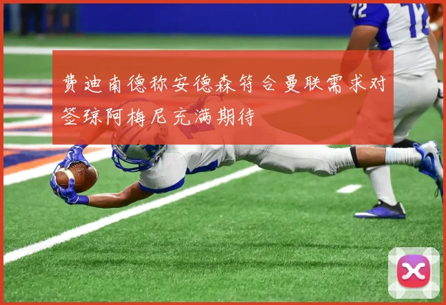 费迪南德称安德森符合曼联需求对签琼阿梅尼充满期待